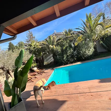 Villa Avec Piscine 3 6 Couchages *